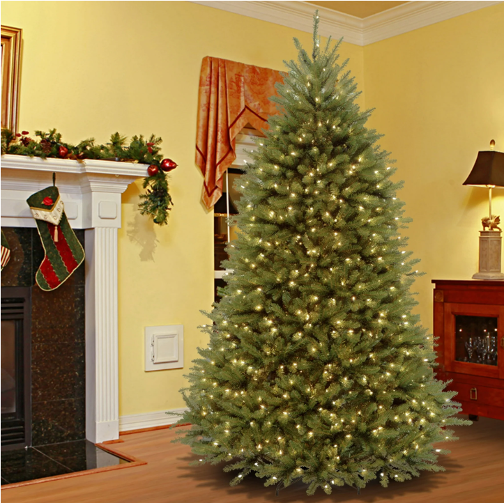 The Majestic Evergreen