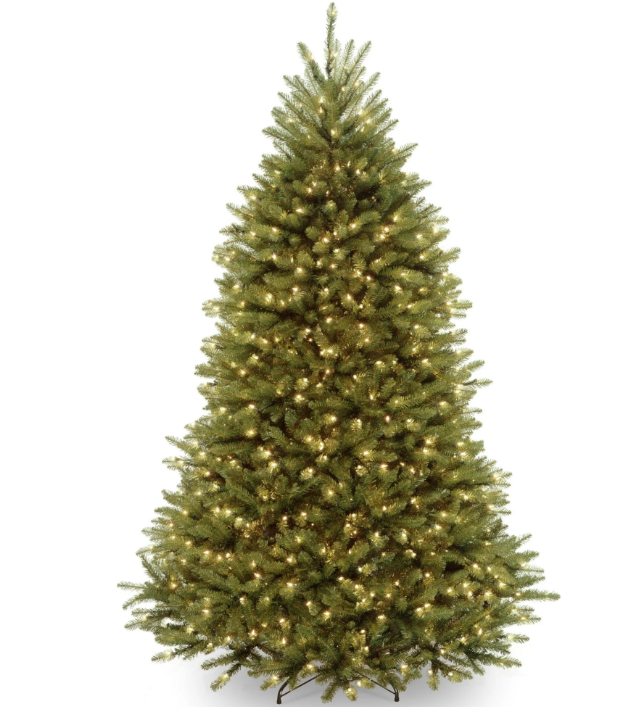 The Majestic Evergreen