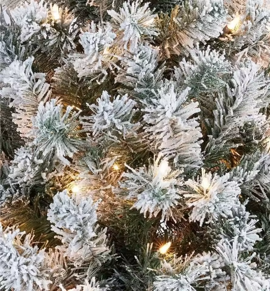 The Alpine Whisper Tree